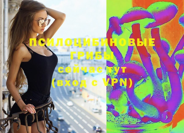 ПСИЛОЦИБИНОВЫЕ ГРИБЫ Белоозёрский