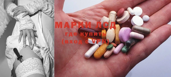 ПСИЛОЦИБИНОВЫЕ ГРИБЫ Белоозёрский