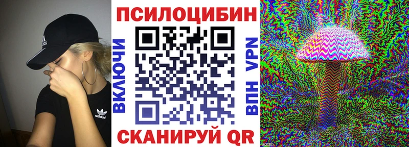 МЕГА ссылки  Высоцк  Галлюциногенные грибы Cubensis 